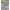 https://res.cloudinary.com/billionhands/image/upload/v1774875022/items/smwj2l0udyvjqkav1hsi.png-1cover