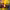 https://res.cloudinary.com/billionhands/image/upload/v1774875126/items/udjyvcbqytoxpc3iadsh.webp-0cover