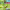 https://res.cloudinary.com/billionhands/image/upload/v1774875290/items/omkpbxhmc6qc5mdlirzm.webp-3cover