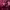 https://res.cloudinary.com/billionhands/image/upload/v1774875316/items/vfsw6n3zn5oxbws3kqx6.jpg-3cover
