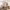 IKEA JÄTTEBO 3.5-Seat Modular Sofa with Chaise cover