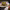 https://res.cloudinary.com/billionhands/image/upload/v1774875573/items/ecqspfxemtmphetf5mb3.jpg-3cover