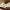 https://res.cloudinary.com/billionhands/image/upload/v1774875711/items/bg3qzylcgirpbidoxrzz.jpg-0cover