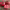 https://res.cloudinary.com/billionhands/image/upload/v1774875759/items/ckgbrgckzraftrli1gid.png-1cover