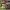 https://res.cloudinary.com/billionhands/image/upload/v1774875763/items/zgpldxhqrek2jvlmmosj.webp-2cover