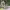 https://res.cloudinary.com/billionhands/image/upload/v1774875775/items/glh6tahubmjhgv6ymepy.jpg-3cover