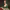 https://res.cloudinary.com/billionhands/image/upload/v1774875785/items/qlfqhecgjzmazjl9grh7.jpg-1cover