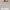 https://res.cloudinary.com/billionhands/image/upload/v1774875798/items/ypv3hjwjenaakexmdo76.webp-0cover