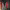 https://res.cloudinary.com/billionhands/image/upload/v1774876101/items/u5iso9mjnezqzpfcbsfh.jpg-3cover