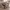 https://res.cloudinary.com/billionhands/image/upload/v1774876258/items/nujvzazu2hceol5jzs69.jpg-1cover