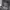 https://res.cloudinary.com/billionhands/image/upload/v1774876290/items/mv4e6rlzemtccic21dmt.jpg-3cover