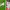 https://res.cloudinary.com/billionhands/image/upload/v1774876330/items/xjq4ex687fuagj7hkgv7.jpg-2cover