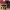 https://res.cloudinary.com/billionhands/image/upload/v1774876395/items/h8l6ivkymbztharvojtb.png-3cover