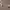 https://res.cloudinary.com/billionhands/image/upload/v1774876533/items/qnltwpgkygmizumlbrwp.jpg-2cover