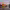 https://res.cloudinary.com/billionhands/image/upload/v1774876589/items/r7zplo0hzc1sg3xih53n.jpg-1cover