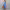 Sleeveless ribbed midi dress (Easy Wear) cover