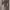 https://res.cloudinary.com/billionhands/image/upload/v1774876649/items/ilj8uckybzfthjiinulv.jpg-2cover