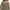 https://res.cloudinary.com/billionhands/image/upload/v1774876683/items/thw9yyy5qdcuoxpvtqn0.jpg-1cover