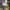 https://res.cloudinary.com/billionhands/image/upload/v1774876852/items/zqqcg6g3rn0szcxxdki4.jpg-0cover