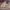 https://res.cloudinary.com/billionhands/image/upload/v1774876858/items/e5hfzjosabqx3jtfhp30.jpg-1cover