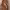 https://res.cloudinary.com/billionhands/image/upload/v1774876901/items/aq7fncnmcqujkmyaqnkp.jpg-0cover