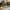 https://res.cloudinary.com/billionhands/image/upload/v1774876947/items/ivbazptfkgl89soogxwv.jpg-1cover