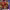 https://res.cloudinary.com/billionhands/image/upload/v1774876956/items/mt7jf0ffx4hjvxpnp7hq.jpg-1cover