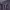 Pentagrama Orchestra (February 14, 2026) cover