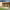 https://res.cloudinary.com/billionhands/image/upload/v1774877108/items/e54vdfyqyt8m5d8xg56x.avif-1cover