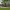 https://res.cloudinary.com/billionhands/image/upload/v1774877110/items/uappbjqninnaw2aykwvm.webp-2cover