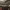 https://res.cloudinary.com/billionhands/image/upload/v1774877135/items/ioah1dpyzwhcpdnvhjel.jpg-0cover