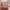 https://res.cloudinary.com/billionhands/image/upload/v1774877312/items/pwdengfqekqbx6jbcvri.jpg-1cover