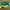 https://res.cloudinary.com/billionhands/image/upload/v1774877318/items/qlsnthq7fayodre0tveb.webp-1cover