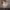 https://res.cloudinary.com/billionhands/image/upload/v1774877375/items/jgalud46cksxiuwhatk7.jpg-2cover