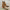 https://res.cloudinary.com/billionhands/image/upload/v1774877437/items/g8eowaquzsbzgz4k344y.jpg-3cover