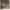 https://res.cloudinary.com/billionhands/image/upload/v1774877462/items/ndj1qxlie4kscjoxqi8f.webp-3cover