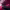 https://res.cloudinary.com/billionhands/image/upload/v1774877604/items/mc0gf9iwyylw3qorclh8.jpg-2cover