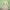 https://res.cloudinary.com/billionhands/image/upload/v1774877677/items/nr0bhlvqcb3valbkamh2.jpg-1cover