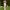 https://res.cloudinary.com/billionhands/image/upload/v1774877705/items/pr4pjws491tp9vgvzxp9.jpg-1cover
