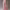 https://res.cloudinary.com/billionhands/image/upload/v1774877709/items/retgdzjsdvy3oqynuvlp.avif-3cover