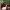 https://res.cloudinary.com/billionhands/image/upload/v1774877728/items/wlu0fgvmjycvorfukyrw.jpg-1cover