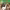 https://res.cloudinary.com/billionhands/image/upload/v1774877730/items/cv6i2mxl6xfrsmmfymkv.jpg-2cover