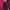https://res.cloudinary.com/billionhands/image/upload/v1774877736/items/ztegj5x9m9kc07dfkgb9.jpg-3cover