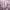 https://res.cloudinary.com/billionhands/image/upload/v1774877795/items/e7i70aswfkzd5ldqo2zf.jpg-2cover