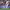 Sergio Ramos cover