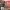 https://res.cloudinary.com/billionhands/image/upload/v1774877914/items/yxbahlbrclqllur1a03v.jpg-2cover