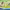 https://res.cloudinary.com/billionhands/image/upload/v1774877919/items/v1rddvqcfn8ucvhgakfb.jpg-1cover