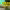 https://res.cloudinary.com/billionhands/image/upload/v1774877931/items/da5glkbkwggx17cwvdce.jpg-1cover