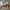https://res.cloudinary.com/billionhands/image/upload/v1774877936/items/at2ytu9nhqs9akdixc4v.jpg-1cover