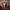 https://res.cloudinary.com/billionhands/image/upload/v1774877943/items/sj3yee5pilxnwud6jmrx.jpg-3cover